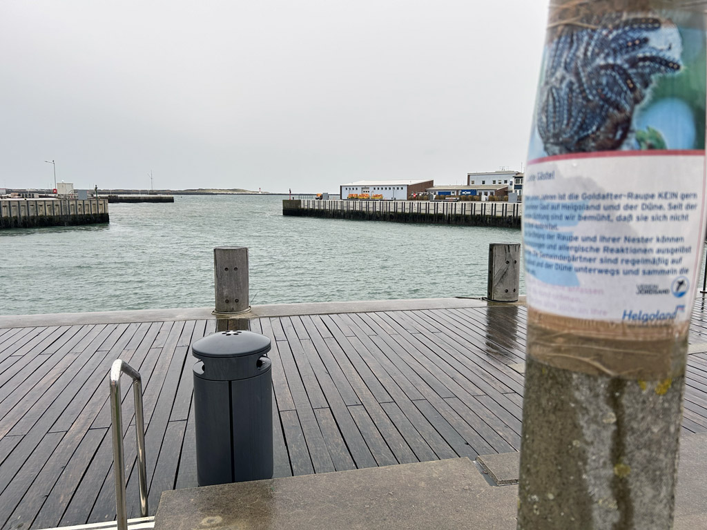 Warnschild aus dem Sommer vor Goldafter-Raupen an Straßenlaternen im Scheibenhafen.