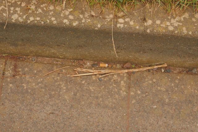 Zigarettenkippen am Autoberg auf Helgoland.