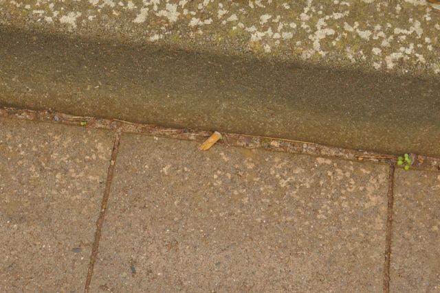 Zigarettenkippen am Autoberg auf Helgoland.