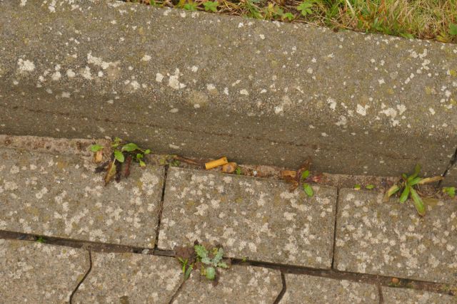Zigarettenkippen am Autoberg auf Helgoland.