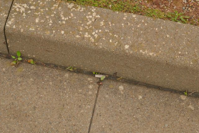 Zigarettenkippen am Autoberg auf Helgoland.