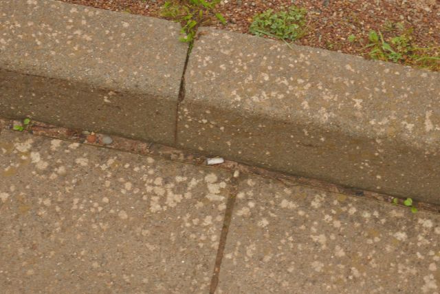 Zigarettenkippen am Autoberg auf Helgoland.