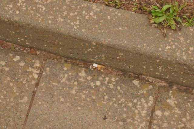 Zigarettenkippen am Autoberg auf Helgoland.