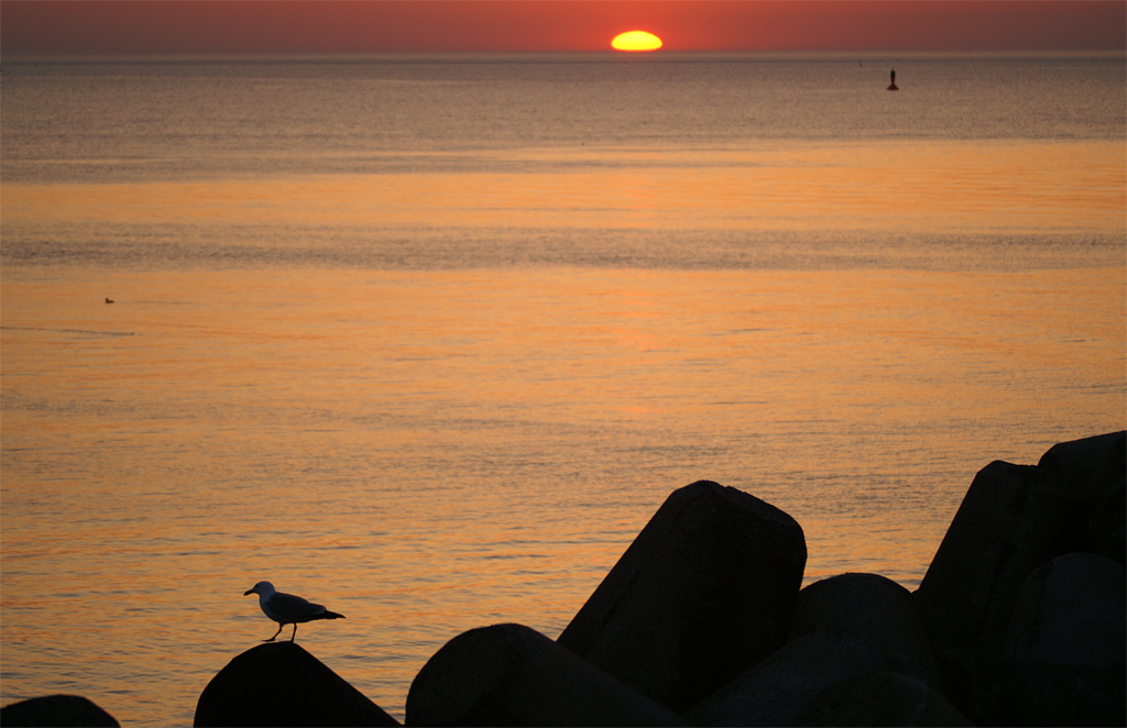 Sonnenuntergang von Helgoland aus gesehen
