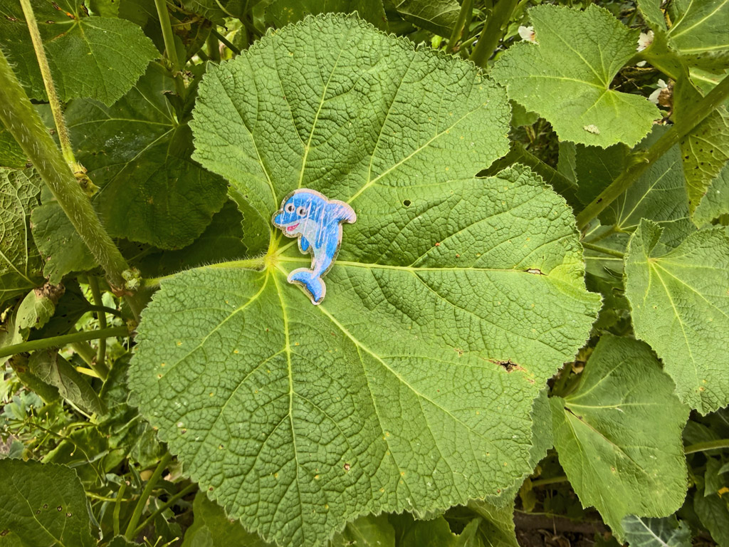Ein kleines Amulett in Delphinform auf dem Blatt einer Stockrose auf dem Helgol&auml;nder Friedhof.