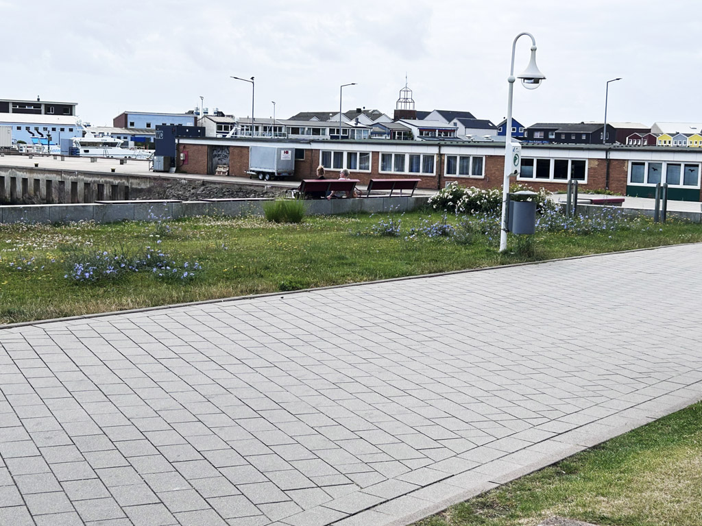 Die Kurpromeande am S&uuml;dstrand vor der Mahd.