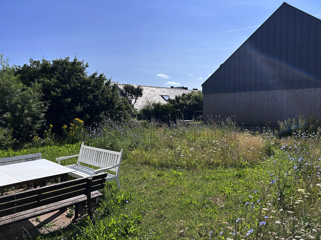 Naturschonend gem&auml;hte Rasenfl&auml;chen bei Privatpersonen auf Helgoland.