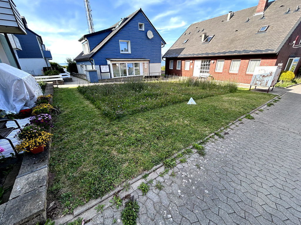 Naturschonend gem&auml;hte Rasenfl&auml;chen bei Privatpersonen auf Helgoland.