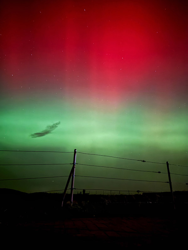 Polarlicht mit dem Zaun am Klippenrandweg auf Helgoland im Vordergrund.