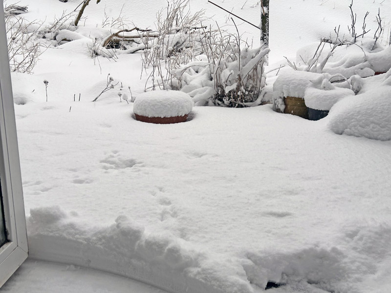 Schneebilder von Helgoland.