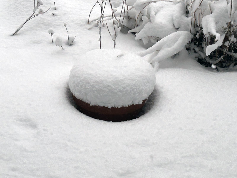 Schneebilder von Helgoland.