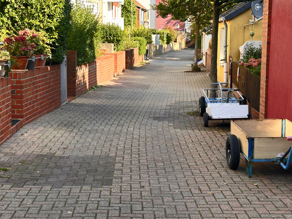 Das sonnt&auml;gliche R&auml;tselbild.