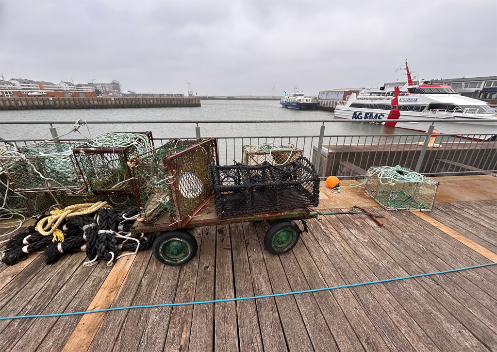Hummerk&oumll;rbe auf einer Karre am Scheibenhafen.