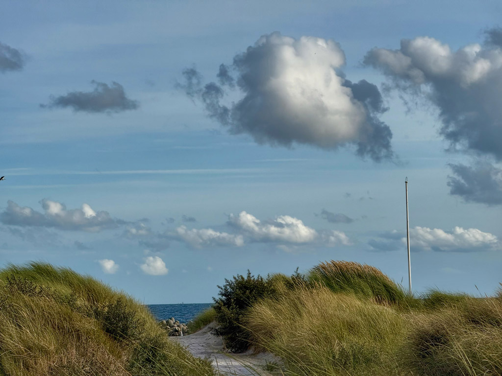 Auf dem Holzweg vom Friedhof der Namenlosen zum S&uuml;dstrand..