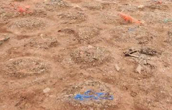 Das sonnt&auml;gliche R&auml;tselbild.