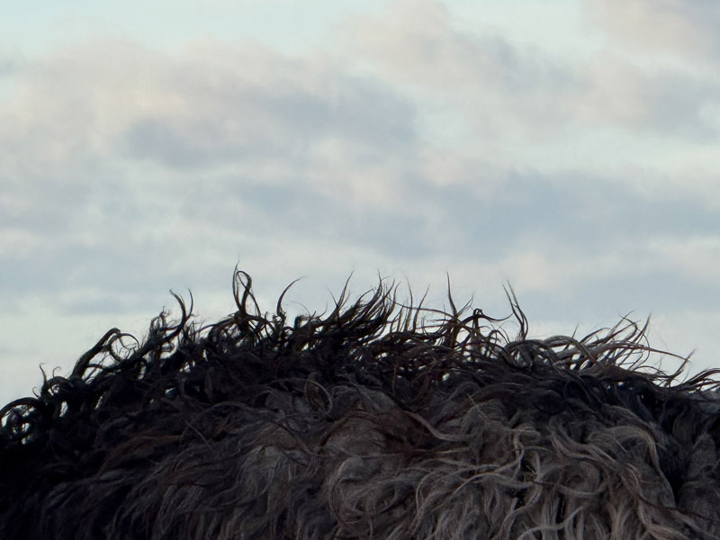 Das sonnt&auml;gliche R&auml;tselbild.