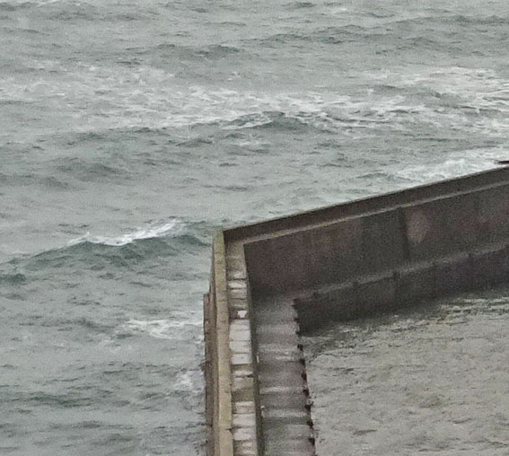 Das sonnt&auml;gliche R&auml;tselbild.