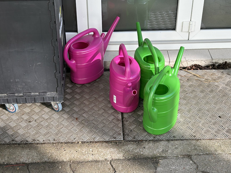 Das sonnt&auml;gliche R&auml;tselbild.