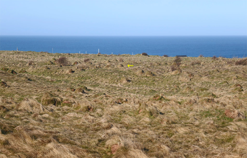 Maulwurfsh&uuml;gelartige Gebilde auf dem Oberland auf Helgoland.