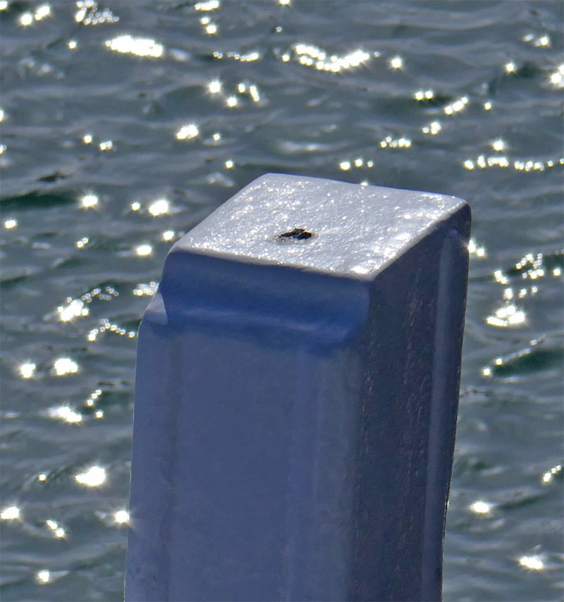 Das sonnt&auml;gliche R&auml;tselbild.